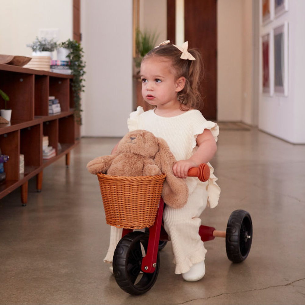 2-in-1 Mini Wooden Balance Bike