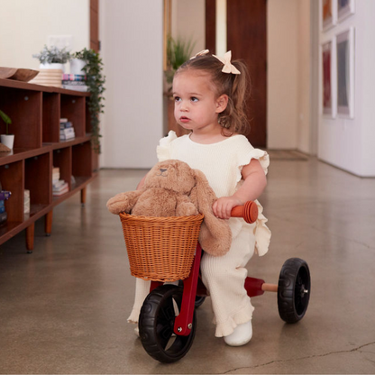 2-in-1 Mini Wooden Balance Bike