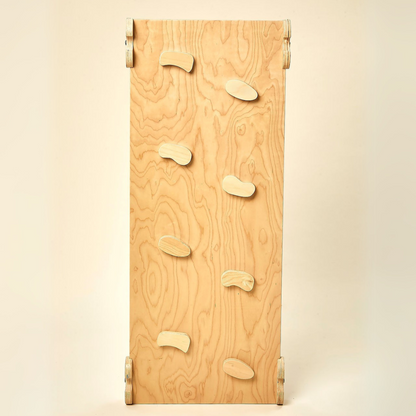 Pikler Wooden Rockwall & Slide Ramp