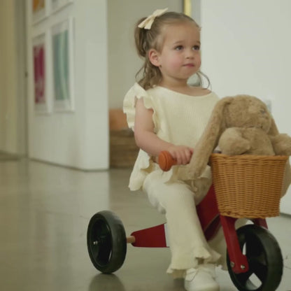 2-in-1 Mini Wooden Balance Bike